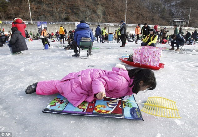 Han quoc cau ca tren bang